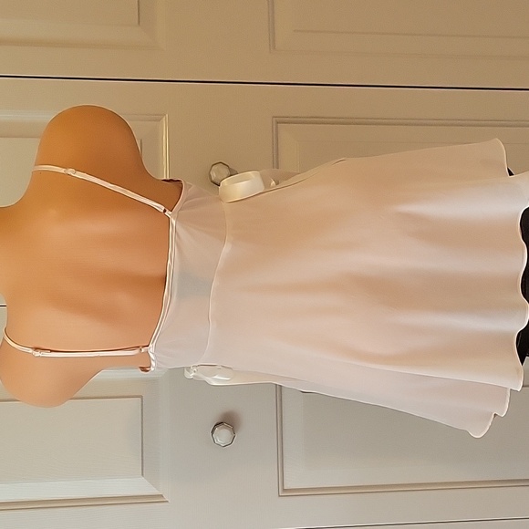 Sexy and Elegant Secret Treasures Chemise (M) - Picture 7 of 7